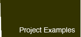 'Project Examples' button